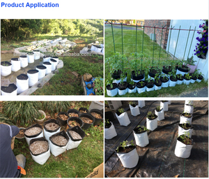UV Resistant PE Plastic <b>Nursery</b> <b>Bags</b> Seedling Grow <b>Bags</b> for Plant Sapling Transplant - Product Image 6
