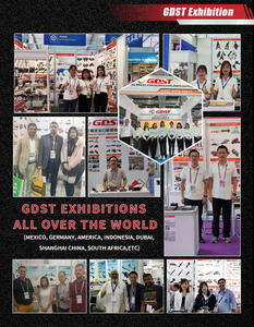 Repuestos de suspensión GDST OEM <span class=keywords><strong>8E0</strong></span> <span class=keywords><strong>407</strong></span> <span class=keywords><strong>509</strong></span> <span class=keywords><strong>A</strong></span> 4D0 <span class=keywords><strong>407</strong></span> <span class=keywords><strong>509</strong></span> F Brazo de <span class=keywords><strong>control</strong></span> trasero inferior delantero automático para Audi VW - Product Image 2