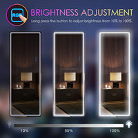 Miroir tout-terrain éclairé 65x22, autoportant, Design mural suspendu, miroir pleine longueur avec lumières rvb à intensité variable