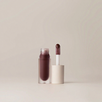 Mini brillant à lèvres OEM de couleur nude, tube en aluminium souple au fini mat et brillant de longue durée avec rouge à lèvres à capsule liquide