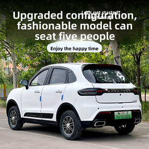 Veicolo Elettrico a 4 Ruote, 4 Porte e 4 Posti Completamente Chiuso, Personalizzabile, per Anziani - Veicolo a Nuova Energia di Grande Successo - Product Image 5