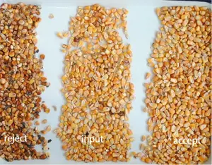 Fully Automatic Selection White Sesame Barley Melon Seeds Color Sorter Maize Color Sorting Machine