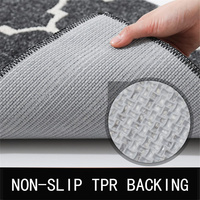 Tapis d'entrée durable, antidérapant, absorbant, à boucles, en polypropylène, adapté aux animaux domestiques, lavable en machine, à profil bas, pour