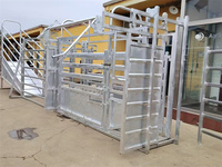 Balle de tête de porte de goulotte d'écrasement de bétail