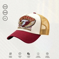 Casquette Trucker Vintage Tendance Broderie 3D Logo Style Urbain Maille 5 Panneaux Double Boucle Plastique Vente en Gros
