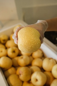 ครีมสมุนไพรเข้มข้นจากน้ำ<span class=keywords><strong>เชื่อม</strong></span>ธรรมชาติบริสุทธิ์ บรรเทาอาการไอ ลดความร้อนในร่างกาย ลดอาการร้อนใน ผลิตด้วยมือจากลูกแพร์ฤดูใบไม้ร่วง - Product Image 5