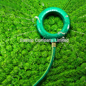 <span class=keywords><strong>Manguera</strong></span> de <span class=keywords><strong>agua</strong></span> de jardín de PVC <span class=keywords><strong>verde</strong></span> resistente y a prueba de fugas con parada de <span class=keywords><strong>agua</strong></span>, válvula de cierre de <span class=keywords><strong>manguera</strong></span>, conector de latón de 30m - Product Image 6