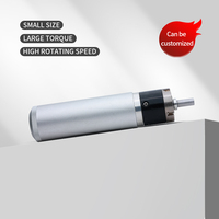 Micromoteur Sanxi 48V DC sans balais sans fentes 30mm 30000RPM pour dispositifs médicaux, perçage crânien et craniotomie