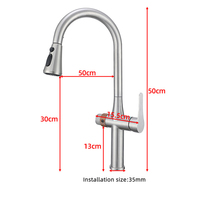 Robinet d'évier de cuisine polyvalent à 3 voies avec pulvérisateur extractible en acier inoxydable 304 à 2 poignées Robinets purificateurs 3 en 1 avec filtre à eau