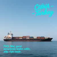 Agent logistique professionnel de la Chine à la Turquie avec des services d'expédition de porte à porte Fret maritime aérien Transport express DDP
