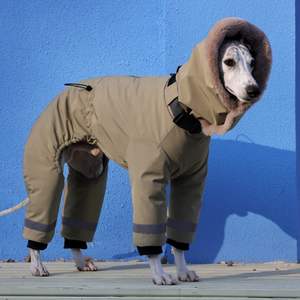 Combinaison de <span class=keywords><strong>neige</strong></span> imperméable ultra-épaisse en coton écologique pour <span class=keywords><strong>chien</strong></span> de race Greyhound italien - Product Image 4