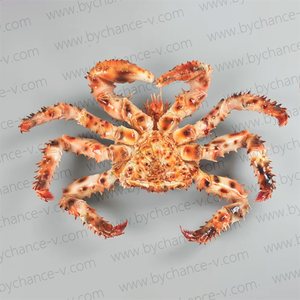 Réplica Premium <span class=keywords><strong>de</strong></span> <span class=keywords><strong>Cangrejo</strong></span> Rey <span class=keywords><strong>Rojo</strong></span> Artificial, Modelo Realista <span class=keywords><strong>de</strong></span> Marisco Falso para Exhibición en Escaparates <span class=keywords><strong>de</strong></span> Tiendas - Product Image 2