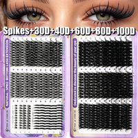 Cils individuels à greffer soi-même avec logo personnalisé, 30D40D60D80D100D, cils segmentés en grappe avec pointes et cils inférieurs