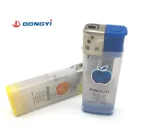Cadeaux publicitaires en plastique givré coupe-vent allume-cigare portable pour l'extérieur