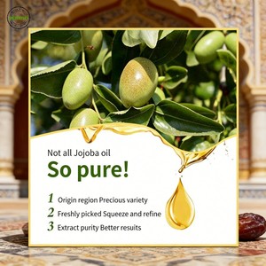 <span class=keywords><strong>Olio</strong></span> Essenziale Vettore Naturale da 5kg con Estratto Naturale di Carote, Semi di Zucca e <span class=keywords><strong>Olio</strong></span> d'Oliva Biologico Spremuto a Freddo (AV M3 C4) - Pompa Trasformatrice - Product Image 5
