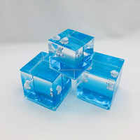 Presse-papiers en acrylique Water Cube avec flotteurs en résine 3D, scène 3D, jouet anti-stress de bureau, décoration dynamique