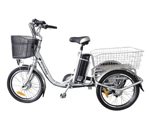 36 V 20 英寸三轮车电动 250 W 3 轮电动自行车与篮子 (EB01)