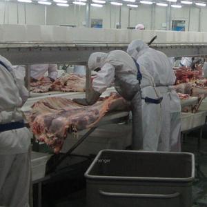 Commerciale Progetto di macellazione Halal Bestiame e di Agnello Macellazione Attrezzature per Linea di Taglio di <span class=keywords><strong>Carne</strong></span> Officina con Igiene - Product Image 3