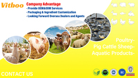 Stimuler l'immunité Multivitamines animales Multivitamines avicoles Liquide oral Additifs alimentaires Vitamines avicoles
