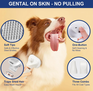 Nouveau produit tendance 2026 : Brosse sécheuse 2-en-1 de luxe pour animaux de compagnie avec ABS et acier inoxydable, alimentée par batterie, pour chats et chiens - Product Image 5