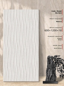 Piastrelle in Gres Porcellanato Effetto Quarzo Antiscivolo Spessore 18mm 600x1200mm Durevoli per Esterni, Ideali per Cortili, Giardini e Sentieri - Product Image 5