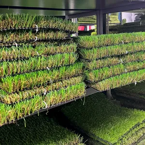 Декоративные 20 мм озеленения искусственный слон трава подстриженными цветные искусственный газон в составе пяти человек трава