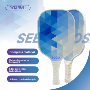 Raqueta de Pickleball de Plástico Personalizada con Núcleo de Fibra de Vidrio en Forma de Panal - Set para Entrenamiento Padre-Hijo - Product Image 1