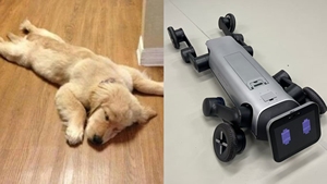 El robot de modo dual <span class=keywords><strong>BAOBAO</strong></span> cambia libremente las formas humanoides/cuadrúpedas ofrece servicios profesionales de curación mental para usuarios domésticos - Product Image 5