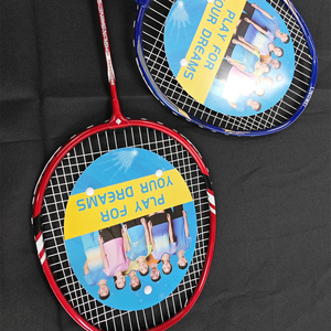 מחבט בדמינטון אחד להגדיר בתוך ענף ספורט חיצוני סטודנטים להתאמן עם תיק - Product Image 3