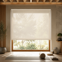 Stores à enroulement intemporels et personnalisables en tissu, avec système de freinage à ressort, filtrant la lumière du jour, sur mesure pour la maison et le bureau