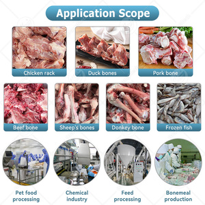 Промышленный измельчитель/дробилка для мяса и костей ORME (для крупного рогатого скота, говядины, рыбы) - Product Image 6