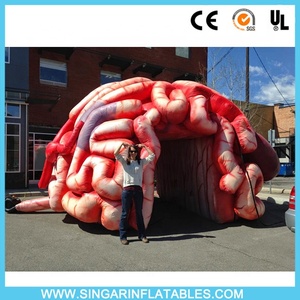 Khổng Lồ Inflatable Organ, Inflatable Não, Inflatable Điêu Khắc - Product Image 2