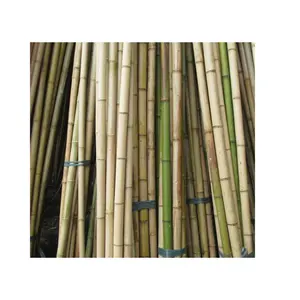 Bastão de bambu cru/cana de bambu natural, produtos ecológicos, preço barato