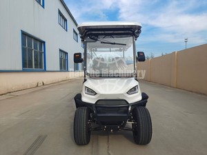 Carrito de Golf Eléctrico de Funcionamiento Silencioso, Color Personalizado para Campus y Comunidades - Product Image 1