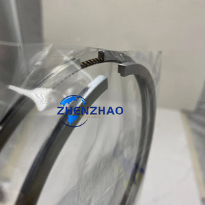Fascia elastica del motore Diesel <span class=keywords><strong>3204</strong></span> parti di revisione del motore <span class=keywords><strong>3204</strong></span> fascia elastica per gatto - Product Image 2