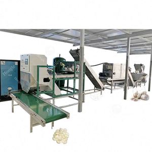 Ligne de production de pelage d'ail à l'azote avec moteur et moteur électrique, haute efficacité, capacité de 2000 kg/h pour l'exportation - Product Image 2