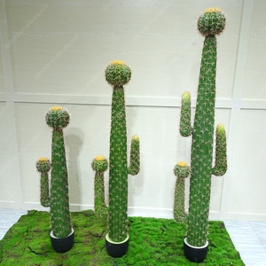 Vente chaude Grande plante artificielle de <span class=keywords><strong>cactus</strong></span> vert d'intérieur pour la décoration, <span class=keywords><strong>Cactus</strong></span> d'intérieur à vendre - Product Image 6
