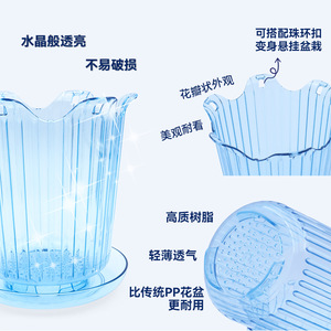 Macetas de resina de alta transparencia hechas a medida para orquídeas, de acrílico duradero para fines ornamentales, con musgo esfagno para - Product Image 3