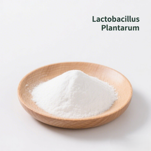 Polvo Probiótico de Grado Alimenticio <span class=keywords><strong>Lactobacillus</strong></span> <span class=keywords><strong>Plantarum</strong></span> 10 Mil Millones de UFC/g Blanco Vida Útil de 2 Años 1 kg/Bolsa de Aluminio - Product Image 3