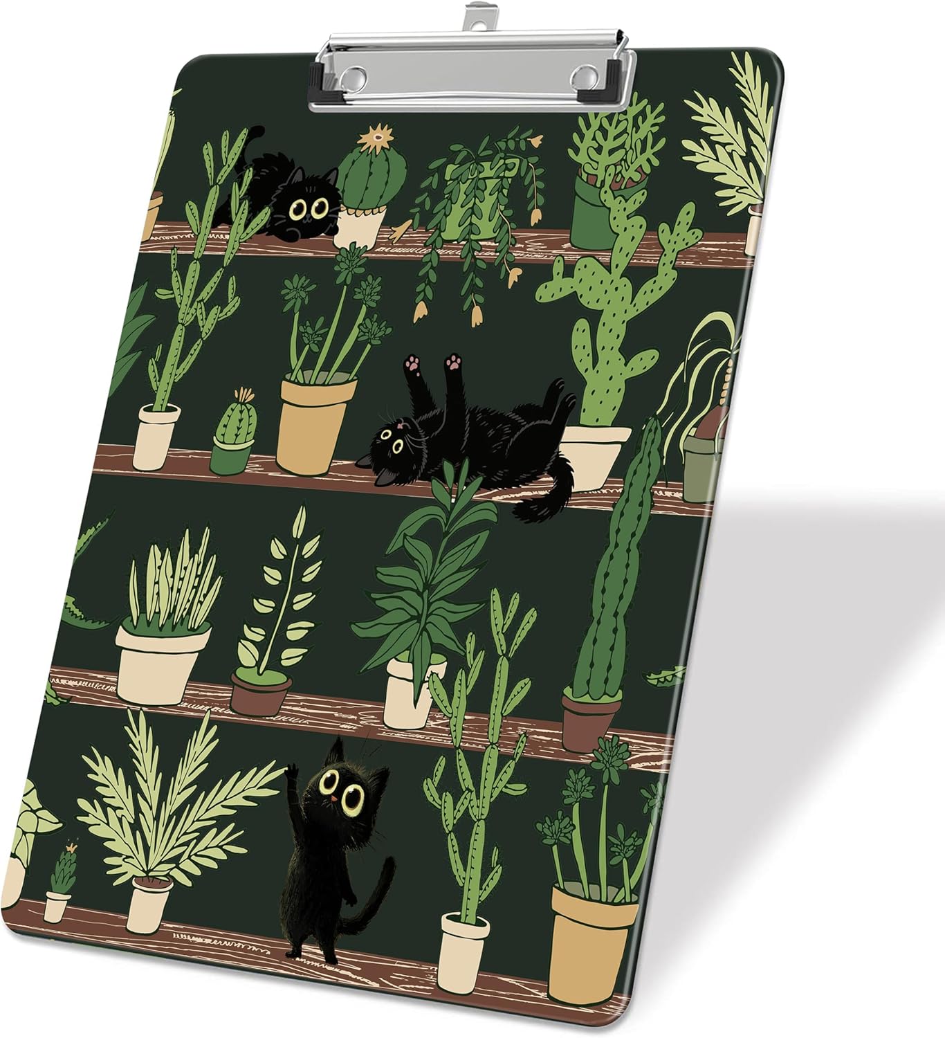 Black Cat Cactus