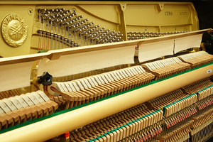 Sử dụng <span class=keywords><strong>YAMAHA</strong></span> ux50a nhạc cụ hoàn chỉnh <span class=keywords><strong>t</strong></span>ừ các nhà cung cấp Nhậ<span class=keywords><strong>t</strong></span> Bản sử dụng loại sản phẩm điện <span class=keywords><strong>t</strong></span>ử - Product Image 4