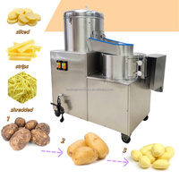 Laveuse-Éplucheuse de Pommes de Terre Professionnelle 100-500 kg/Heure, Éplucheuse-Trancheuse de Pommes de Terre et de Taro, Machine de Nettoyage pour Carottes et Pommes de Terre