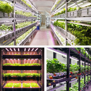 Lámpara LED de espectro completo para cultivo de plantas suculentas, luz LED de alta eficiencia, ahorro de energía, <span class=keywords><strong>atrapamoscas</strong></span>, Venus - Product Image 5