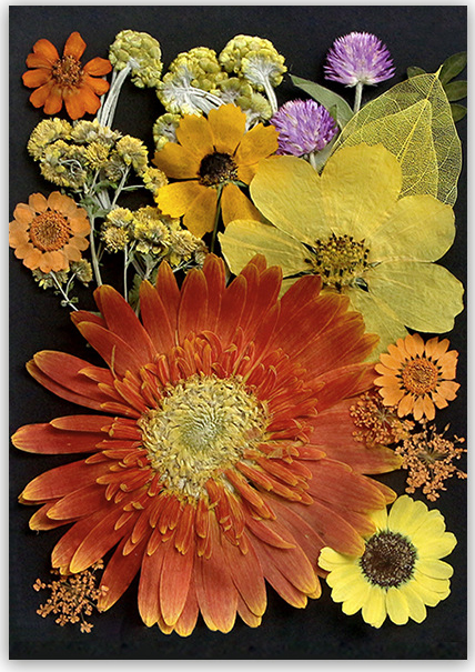 MH388 orange 20 pièces/sachet