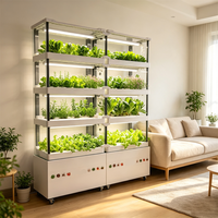 Machine de culture hydroponique verticale automatique intelligente Seeda pour plantes d'intérieur, multi-niveaux, sans terre, facile à utiliser à la maison