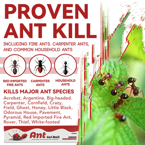 <span class=keywords><strong>Insecticida</strong></span> Doméstico Profesional Eficaz, Potente Efecto Cadena, Eliminador de Colonias, Cebo en Gel para <span class=keywords><strong>Hormigas</strong></span> en Interiores y Exteriores - Product Image 2