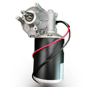 High Torque Motore Elettrico A Bassa velocità A Vite Senza Fine DC Motore D88 12V 24V 36V