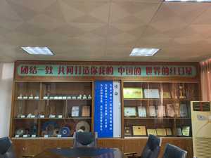 Ambientalmente água-agentes industriais baseados limpeza do metal desengordurando o agente para a limpeza do motor - Product Image 6