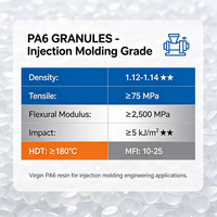 Granulés PA6, Pellets de Nylon 6, Résine Polyamide 6, Grade de Moulage par Injection pour Pièces Automobiles et Industrielles