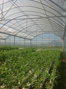 Grande Matériel Tomate Armature Complète Solaire Bache Pour Plastique Pour Agriculture Serre Serre Agricole - Product Image 2